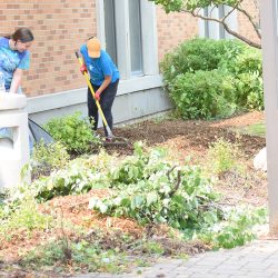 NTC employees work on landscaping projects.