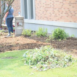 NTC employees work on landscaping projects.
