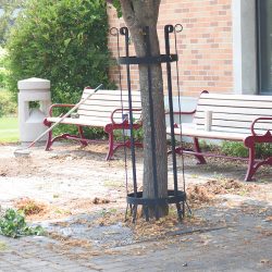 Landscape work done by NTC employees during their August 2023 Beautification Day.