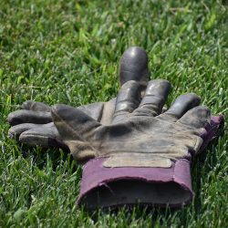 A pair of gloves on the ground at Northwest Technical College.