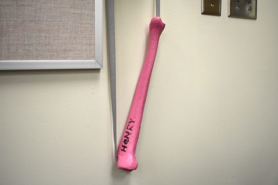 A pink leg bone serves as the hall pass for students in Bemidji High School's Room 2149, home of the Sanford/NTC Health Sciences Lab.