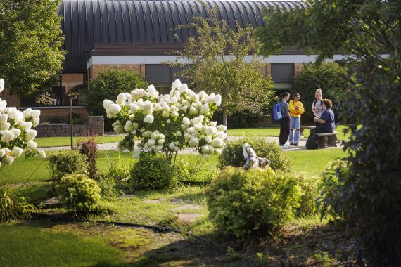 More students choose Northwest Technical College and Bemidji State this fall